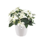 brussels diamond rund 25cm weiss